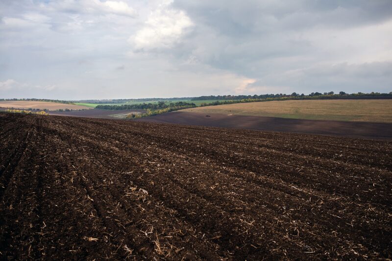 Os futuros de trigo em Chicago chegaram a US$ 9,495 o bushel. Os preços subiram mais de 20% este ano. Milho e soja também subiram. Os futuros de trigo em Chicago chegaram a US$ 9,495 o bushel. Os preços subiram mais de 20% este ano. Milho e soja também subiram.