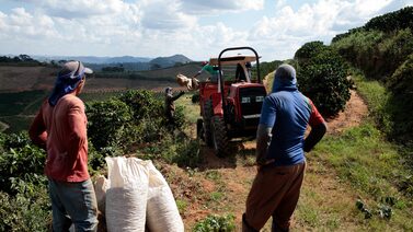 Mesmo com alívio, tarifas dos EUA sobre o café seguem muito altas, diz Alckmin Mesmo com alívio, tarifas dos EUA sobre o café seguem muito altas, diz Alckmin