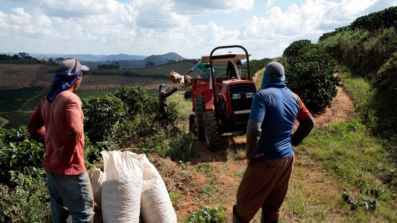 Mesmo com alívio, tarifas dos EUA sobre o café seguem muito altas, diz Alckmin Mesmo com alívio, tarifas dos EUA sobre o café seguem muito altas, diz Alckmin