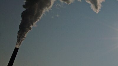 Diputados de México buscan regular bonos de carbono tras llamado de AMLO Diputados de México buscan regular bonos de carbono tras llamado de AMLO