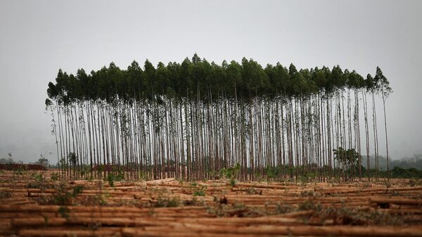 Suzano compra terras do BTG no Mato Grosso do Sul por R$ 1,8 bilhão Suzano compra terras do BTG no Mato Grosso do Sul por R$ 1,8 bilhão