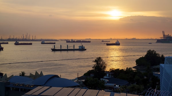 Fondo de cobertura obtuvo una ganancia del 31% por su apuesta a acciones petroleras Fondo de cobertura obtuvo una ganancia del 31% por su apuesta a acciones petroleras