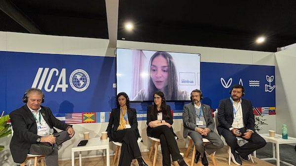 JBS’s Green Offices start serving grain producers JBS’s Green Offices start serving grain producers