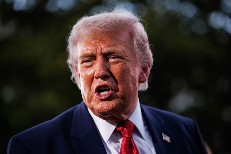 Además del argentino Javier Milei, el ecuatoriano Daniel Noboa y el salvadoreño Nayib Bukele, Trump ha sumado otros aliados en la región. Además del argentino Javier Milei, el ecuatoriano Daniel Noboa y el salvadoreño Nayib Bukele, Trump ha sumado otros aliados en la región.