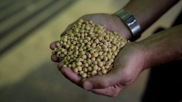 Rumo Explores Potential Sale of Stake in Latin America’s Largest Port Terminal Rumo Explores Potential Sale of Stake in Latin America’s Largest Port Terminal