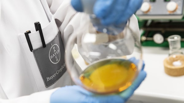 Bayer transfere operação de glifosato à Ruveon em meio a disputas bilionárias nos EUA Bayer transfere operação de glifosato à Ruveon em meio a disputas bilionárias nos EUA