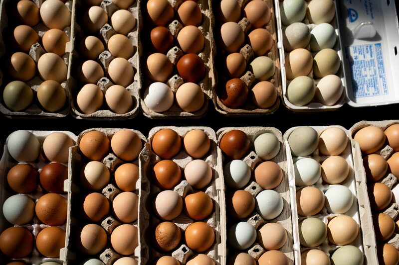 Os ovos foram distribuídos pela August Egg Company e vendidos a varejistas como Walmart e Safeway entre 3 de fevereiro e 19 de maio Os ovos foram distribuídos pela August Egg Company e vendidos a varejistas como Walmart e Safeway entre 3 de fevereiro e 19 de maio