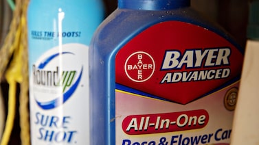 Bayer enfrenta resistência de juiz dos EUA a acordo de US$ 7,25 bi do Roundup Bayer enfrenta resistência de juiz dos EUA a acordo de US$ 7,25 bi do Roundup