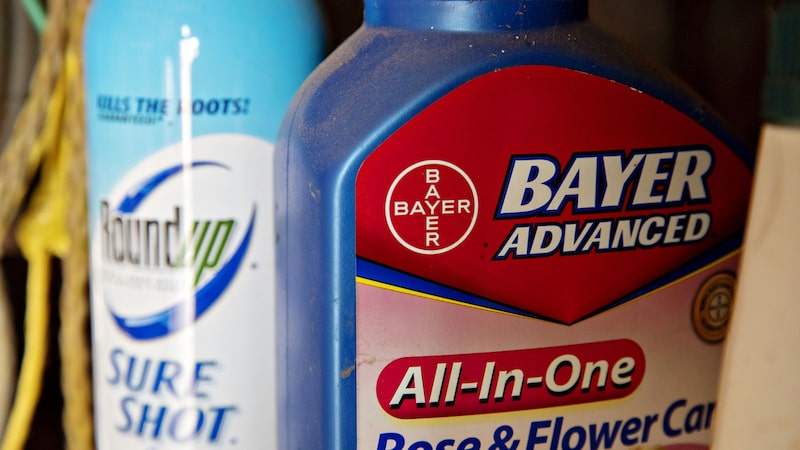Bayer enfrenta resistência de juiz dos EUA a acordo de US$ 7,25 bi do Roundup Bayer enfrenta resistência de juiz dos EUA a acordo de US$ 7,25 bi do Roundup