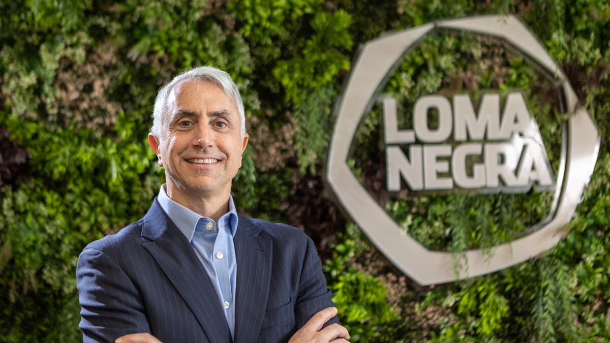 “Hoy los inversores miran más lo que sucede en Argentina que los balances”, dice CEO de Loma Negra
