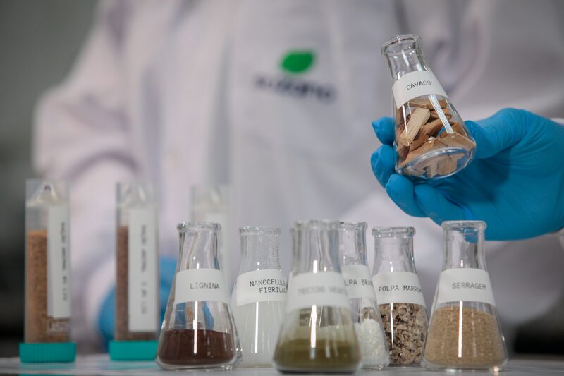 China é a maior importadora mundial de celulose, respondendo por 43% das vendas da commodity pela Suzano China é a maior importadora mundial de celulose, respondendo por 43% das vendas da commodity pela Suzano