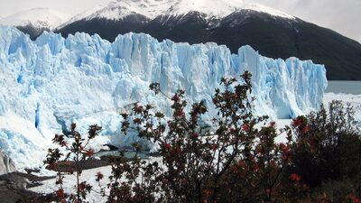 Turismo en la Patagonia argentina se vuelve cada vez más exclusivo: ¿es más caro que en Suiza? Turismo en la Patagonia argentina se vuelve cada vez más exclusivo: ¿es más caro que en Suiza?