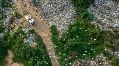 Climate Change: Burning Trees in the Amazon Rainforest Melts Snow in the Himalayas Climate Change: Burning Trees in the Amazon Rainforest Melts Snow in the Himalayas