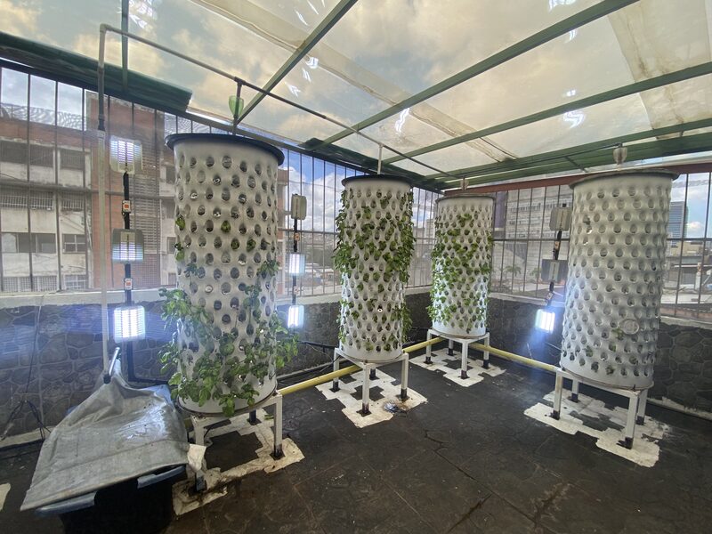 La infraestructura en la Granja Santa Hidropónic en Cafracas cuenta con 5 cilindros hasta el momento / Foto Raylí Luján La infraestructura en la Granja Santa Hidropónic en Cafracas cuenta con 5 cilindros hasta el momento / Foto Raylí Luján