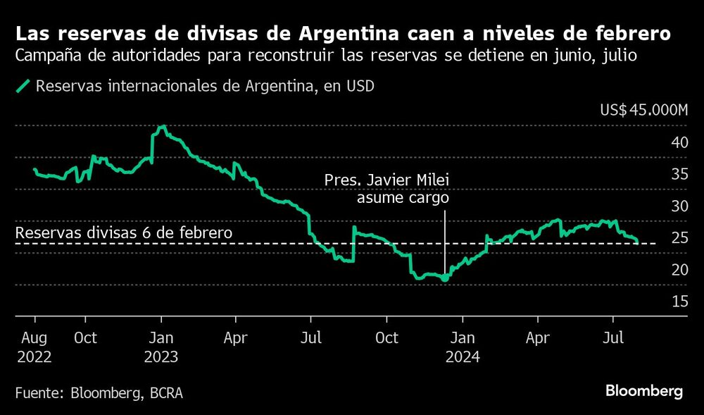 Las reservas de divisas de Argentina caen a niveles de febrero | Campaña de autoridades para reconstruir las reservas se detiene en junio, julio Las reservas de divisas de Argentina caen a niveles de febrero | Campaña de autoridades para reconstruir las reservas se detiene en junio, julio