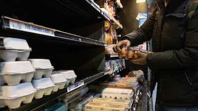 Alívio no prato: preço dos ovos cai 18% nos EUA após recordes e incertezas Alívio no prato: preço dos ovos cai 18% nos EUA após recordes e incertezas