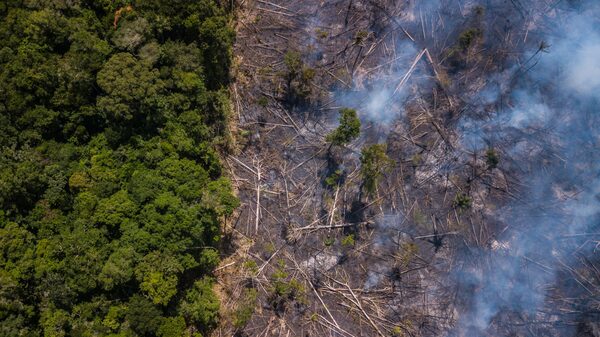¿Cuántos planetas necesitaríamos si gastáramos recursos como en estos países de LatAm? ¿Cuántos planetas necesitaríamos si gastáramos recursos como en estos países de LatAm?