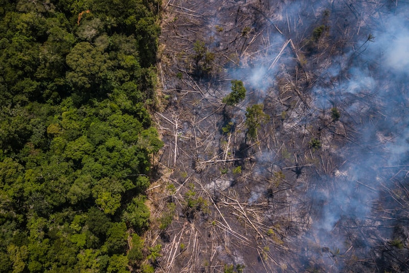 El humo se eleva sobre la selva amazónica, fuera de una reserva indígena, en esta fotografía aérea tomada cerca de Jundia, estado de Roraima. Brasil, el lunes 28 de enero de 2019. El humo se eleva sobre la selva amazónica, fuera de una reserva indígena, en esta fotografía aérea tomada cerca de Jundia, estado de Roraima. Brasil, el lunes 28 de enero de 2019.