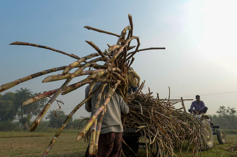 Fotógrafo: Prakash Singh/Bloomberg. Fotógrafo: Prakash Singh/Bloomberg.
