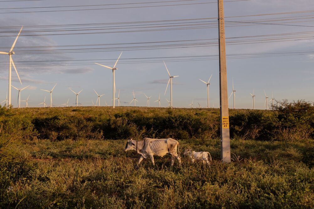 Uma grande vantagem na produção do hidrogênio verde é a fonte renovável a partir de espaços abertos nas regiões com mais vento (Foto: Maria Magdalena Arrellaga/Bloomberg) Uma grande vantagem na produção do hidrogênio verde é a fonte renovável a partir de espaços abertos nas regiões com mais vento (Foto: Maria Magdalena Arrellaga/Bloomberg)