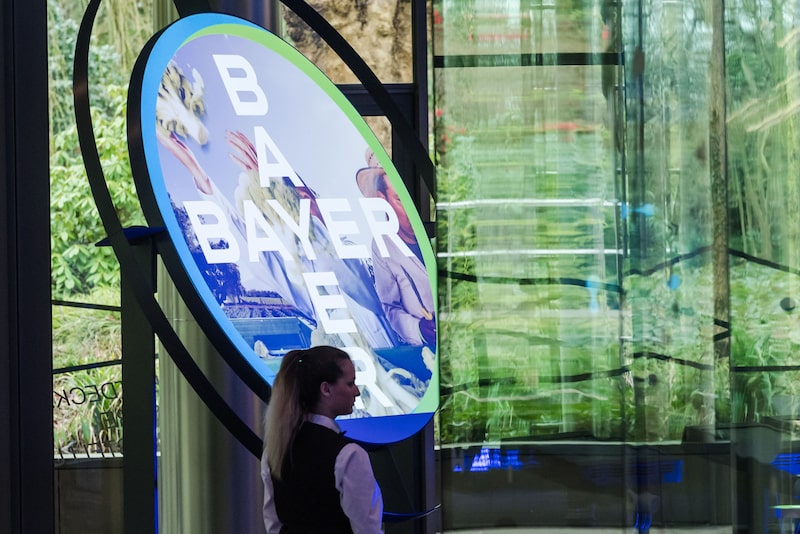 Las acciones de Bayer apenas variaban en las primeras operaciones en Fráncfort. Las acciones de Bayer apenas variaban en las primeras operaciones en Fráncfort.