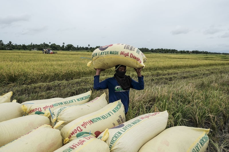 Se espera concretar un acuerdo por mayor cantidad de fertilizantes con Venezuela. Se espera concretar un acuerdo por mayor cantidad de fertilizantes con Venezuela.