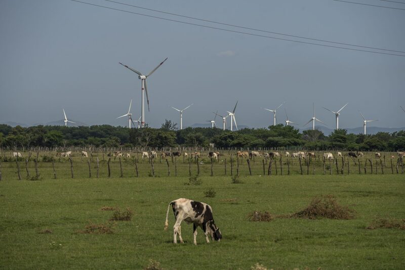 Turbinas eólicas ganham adeptos como forma sustentável de energia Turbinas eólicas ganham adeptos como forma sustentável de energia