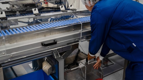 Fabricante de Ozempic revierte la brecha salarial: las mujeres ganan más Fabricante de Ozempic revierte la brecha salarial: las mujeres ganan más