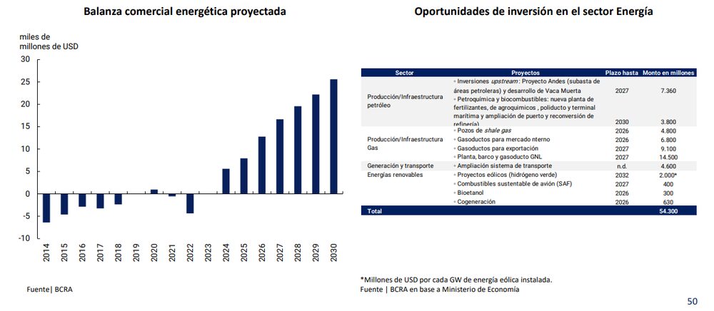 Vaca Muerta Vaca Muerta