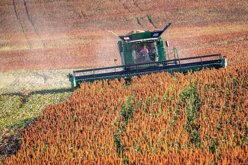Brasil se prepara para superar os EUA em mais uma commodity agrícola com ajuda da China (Foto: Edwin Remsberg/VWPics/AP) Brasil se prepara para superar os EUA em mais uma commodity agrícola com ajuda da China (Foto: Edwin Remsberg/VWPics/AP)