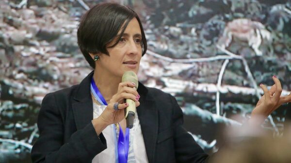 “El país abrió la frontera minera indiscriminadamente”: Minambiente “El país abrió la frontera minera indiscriminadamente”: Minambiente