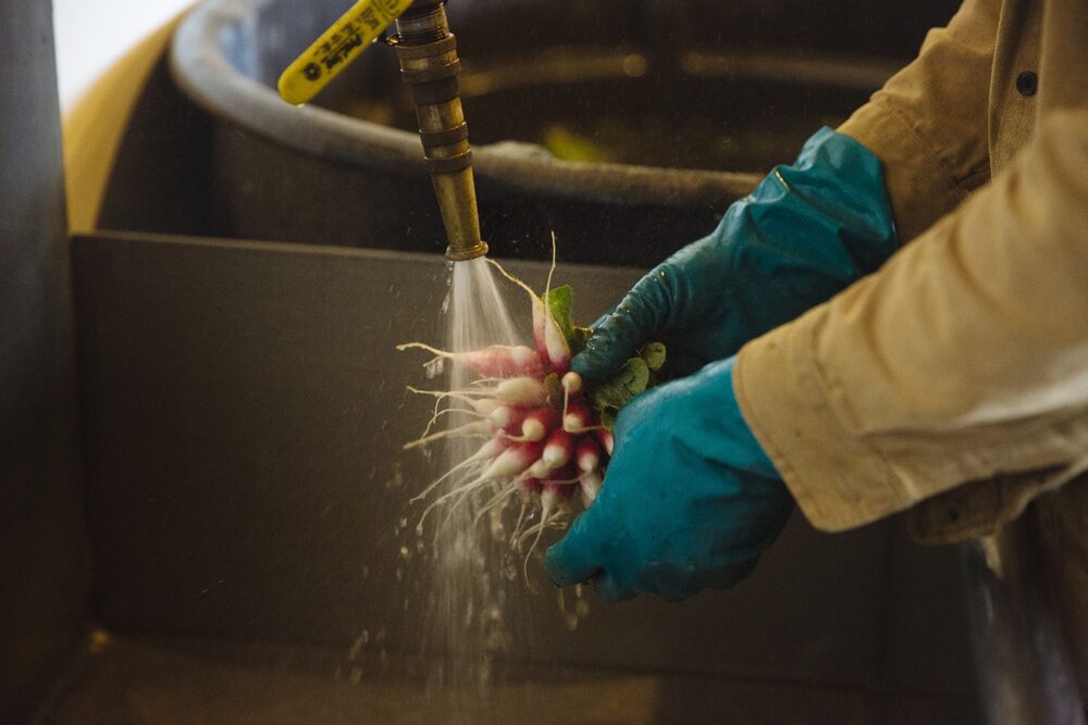 El servicio tendrá un aumento este año en Buenos Aires luego de dos años sin cambios. El servicio tendrá un aumento este año en Buenos Aires luego de dos años sin cambios.