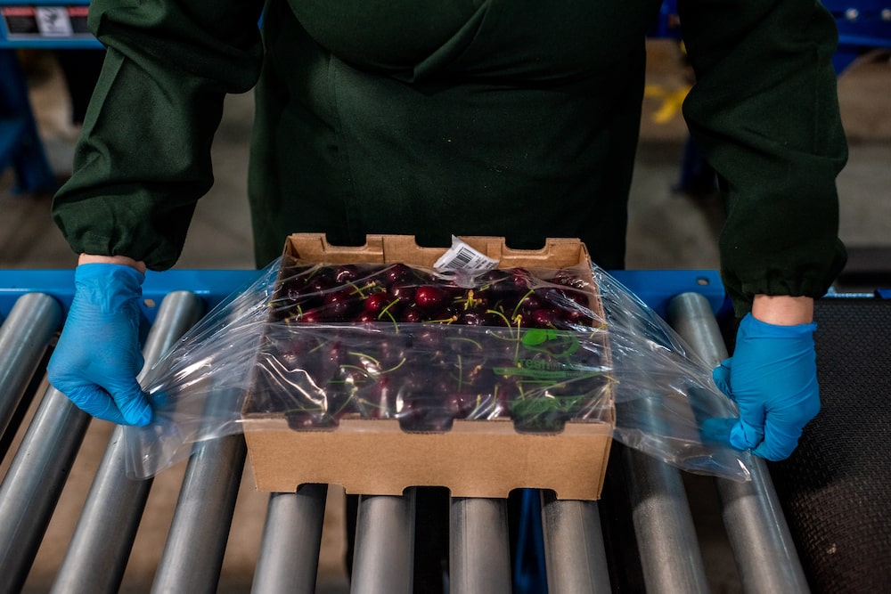 Cereza chilena Cereza chilena