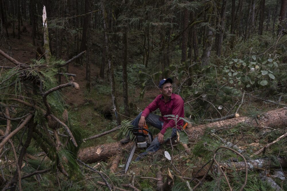 A worker takes a break from cutting trees at a forest in Veracruz state, Mexico. A worker takes a break from cutting trees at a forest in Veracruz state, Mexico.