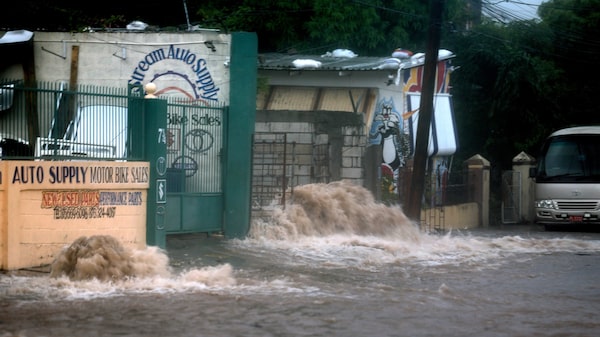 Las enormes ganancias que han dejado los bonos de catástrofe están levantando sospechas Las enormes ganancias que han dejado los bonos de catástrofe están levantando sospechas