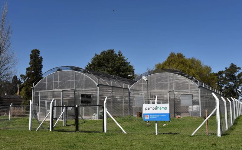 Invernaderos de la Pyme Pampa Hemp en Pergamino Invernaderos de la Pyme Pampa Hemp en Pergamino