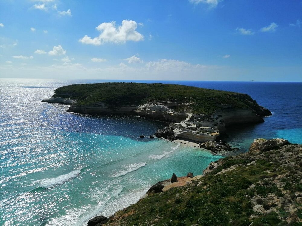 Foto: Tripadvisor Foto: Tripadvisor