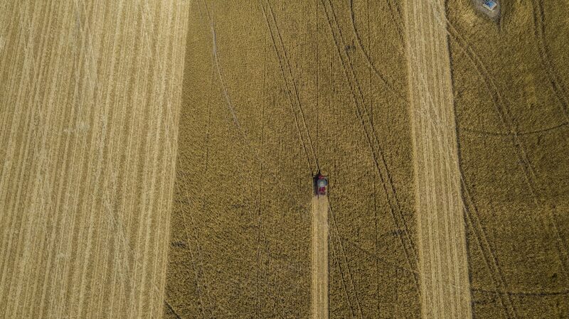 Ações da SLC Agrícola sobem diante da valorização dos preços das commodities nas bolsas internacionais Ações da SLC Agrícola sobem diante da valorização dos preços das commodities nas bolsas internacionais