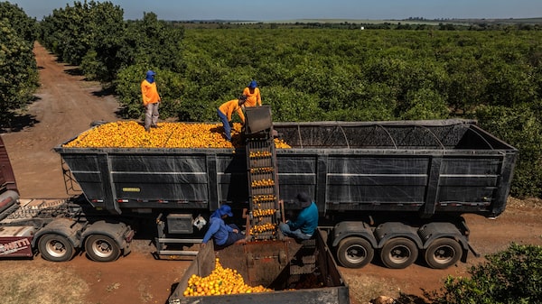 Bancos apertam crédito ao agro com pedidos de garantias após recuperações judiciais Bancos apertam crédito ao agro com pedidos de garantias após recuperações judiciais