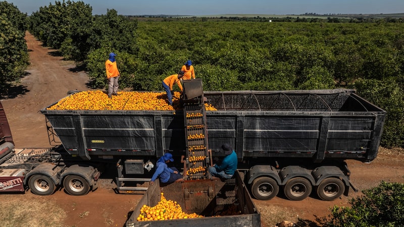 Bancos apertam crédito ao agro com pedidos de garantias após recuperações judiciais Bancos apertam crédito ao agro com pedidos de garantias após recuperações judiciais