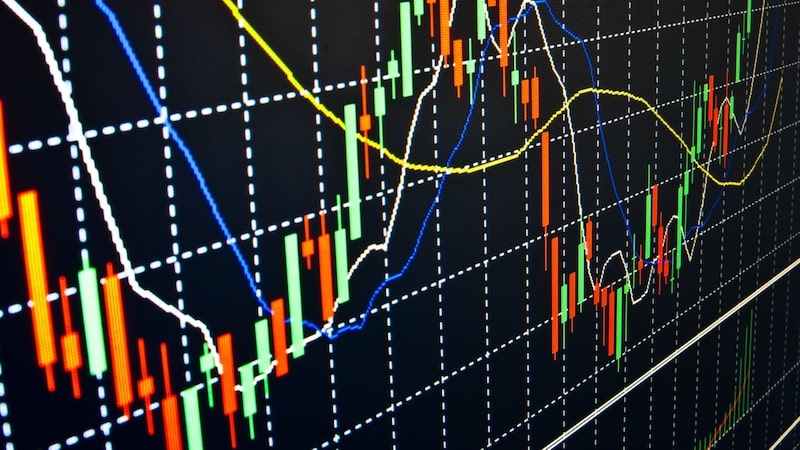 Crédito: (Shutterstock) Crédito: (Shutterstock)