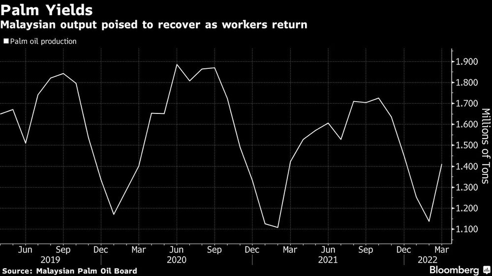 Rendimiento de la palma
La producción de Malasia se recupera con el regreso de los trabajadores
Blanco: La producción de aceite de palma Rendimiento de la palma
La producción de Malasia se recupera con el regreso de los trabajadores
Blanco: La producción de aceite de palma