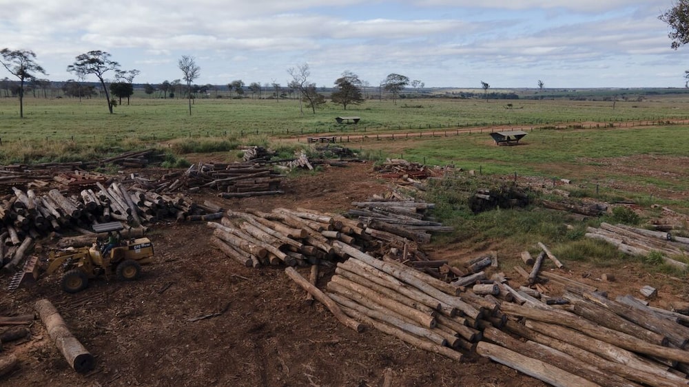A sawmill at Rancho Dourado. Photographer: Wara Vargas/Bloomberg A sawmill at Rancho Dourado. Photographer: Wara Vargas/Bloomberg