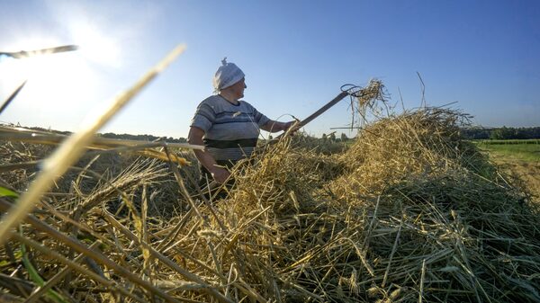 Half of Harvests in Crop Giant Ukraine Could Be Wiped Out by War Half of Harvests in Crop Giant Ukraine Could Be Wiped Out by War