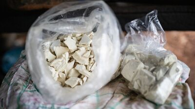 Startup vai à bolsa com aposta em mercado bilionário de cocaína legalizada Startup vai à bolsa com aposta em mercado bilionário de cocaína legalizada