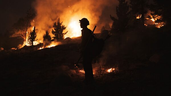 Impacto de incendios forestales aumentará drásticamente: ONU Impacto de incendios forestales aumentará drásticamente: ONU