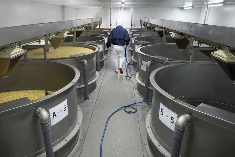 Soybeans soaked in water in tanks on the production line at the Yamami Co. Fuji-Sanroku factory in Oyama Town, Shizuoka Prefecture, Japan, on Tuesday, Dec. 12, 2023. Many of Japans tofu producers are struggling to stay in business, even as people eat more of the plant-based source of protein. Not Yamami, which is forecasting record profits thanks to automation and mass production. Photographer: Kiyoshi Ota/Bloomberg Soybeans soaked in water in tanks on the production line at the Yamami Co. Fuji-Sanroku factory in Oyama Town, Shizuoka Prefecture, Japan, on Tuesday, Dec. 12, 2023. Many of Japans tofu producers are struggling to stay in business, even as people eat more of the plant-based source of protein. Not Yamami, which is forecasting record profits thanks to automation and mass production. Photographer: Kiyoshi Ota/Bloomberg