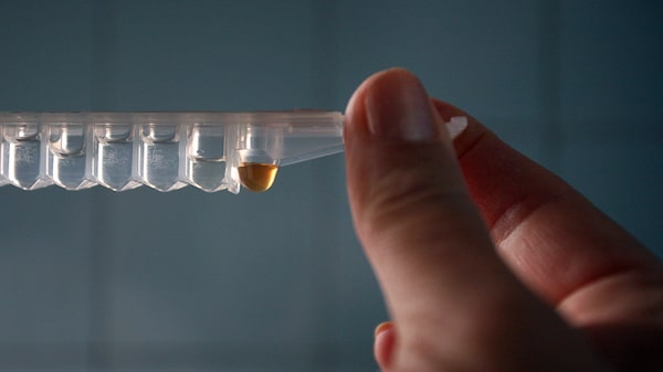 Caen tasas de VIH en EE.UU., pero más lentamente para hombres negros y latinos Caen tasas de VIH en EE.UU., pero más lentamente para hombres negros y latinos