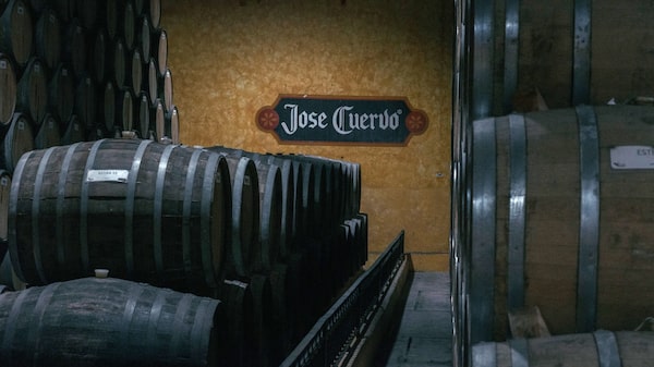 Fabricante de José Cuervo registra su mayor caída desde 2023 tras no cumplir las previsiones de beneficios Fabricante de José Cuervo registra su mayor caída desde 2023 tras no cumplir las previsiones de beneficios