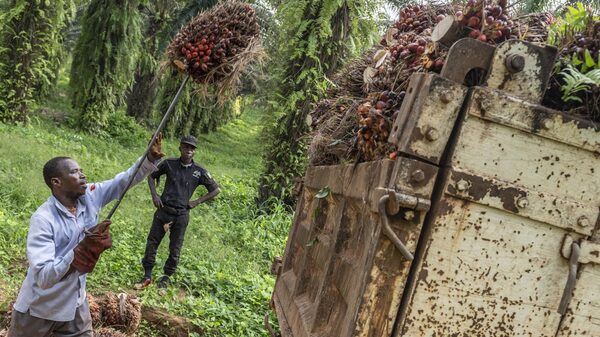Un nuevo libro sobre el cambio climático tiene algunas noticias sorprendentemente buenas Un nuevo libro sobre el cambio climático tiene algunas noticias sorprendentemente buenas